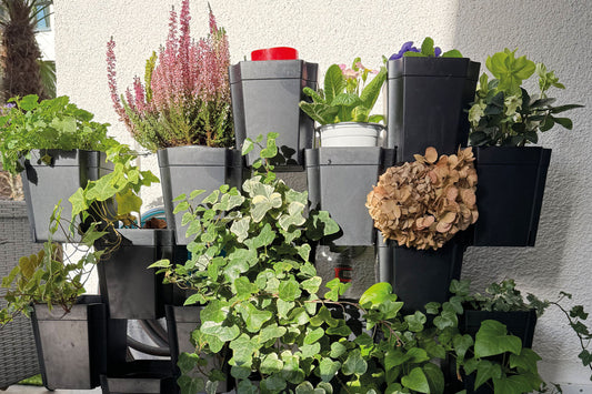 Urban Gardening Balkon: Grüne Oase auf kleinstem Raum