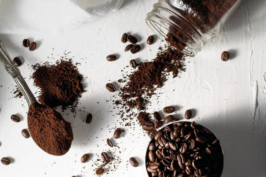 Wiederverwendbarer Kaffeefilter - Alternative zu Papierfiltern Io Nova