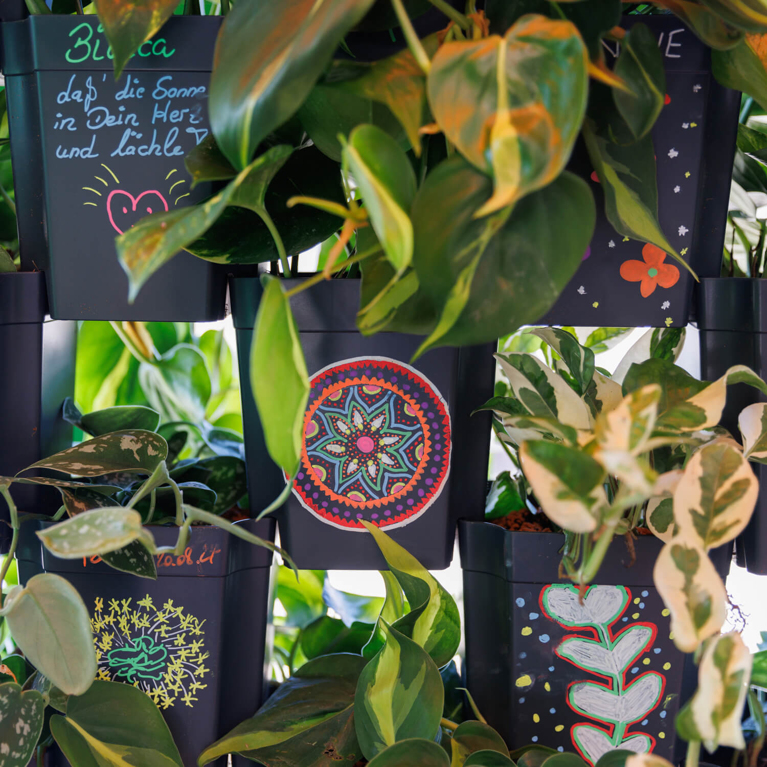 Bunte bemalte FlexiFlora-Pflanztöpfe mit Mandala, Herz und Pflanzenmotiven – kreativ bepflanzt