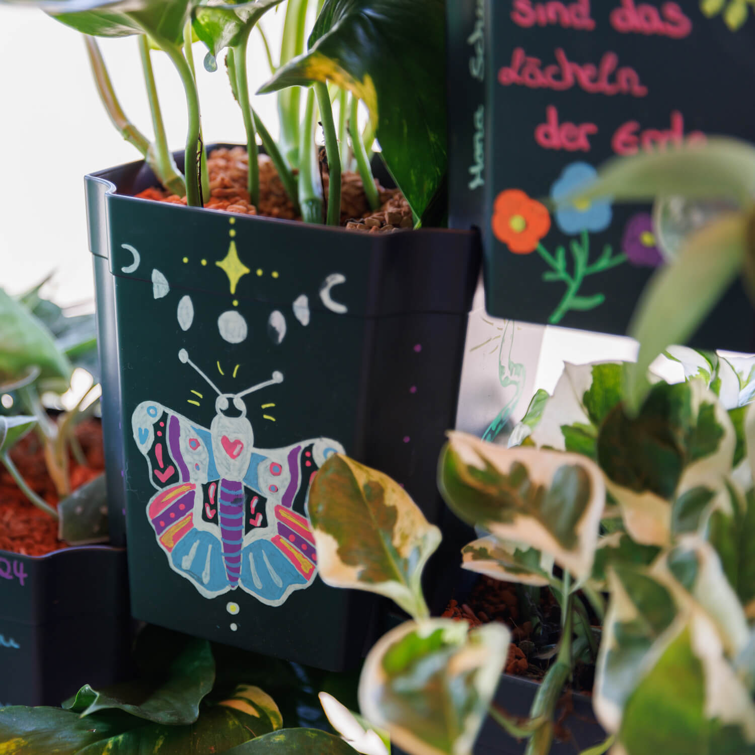 FlexiFlora-Pflanztopf mit Pflanze und bunter Schmetterlingszeichnung auf schwarzer Oberfläche