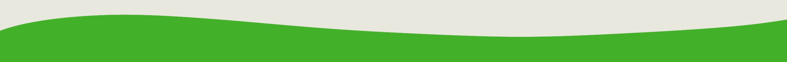 Grün-beige Wellenform als Footer-Hintergrundgrafik für die Website von Io Nova