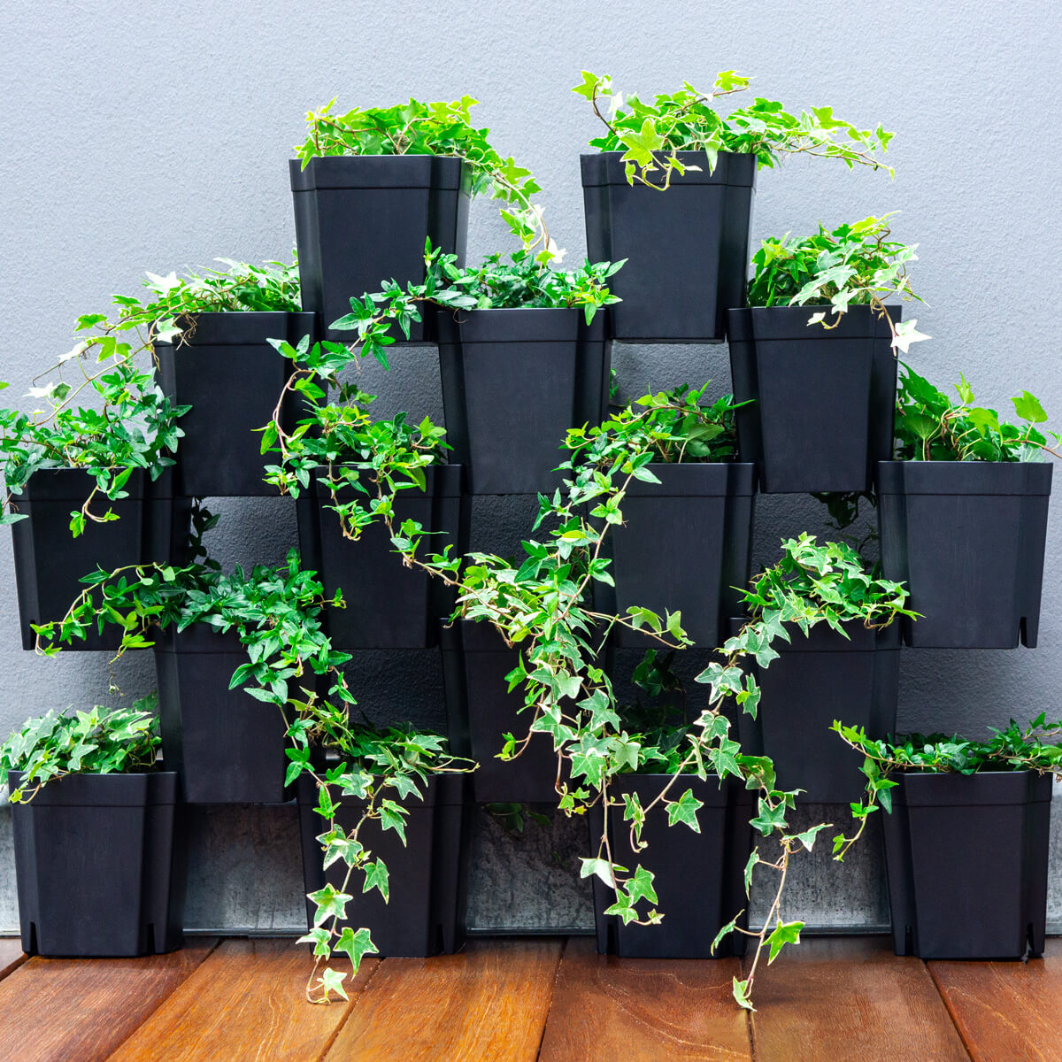16 FlexiFlora-Module bepflanzt mit grünem Efeu als vertikale Pflanzenwand auf Balkon mit Holzbelag