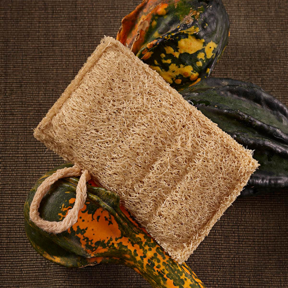 Ein Luffa-Spülschwamm von Io Nova mit Kordel liegt auf dekorativen Zierkürbissen, präsentiert auf einem dunklen Untergrund.
