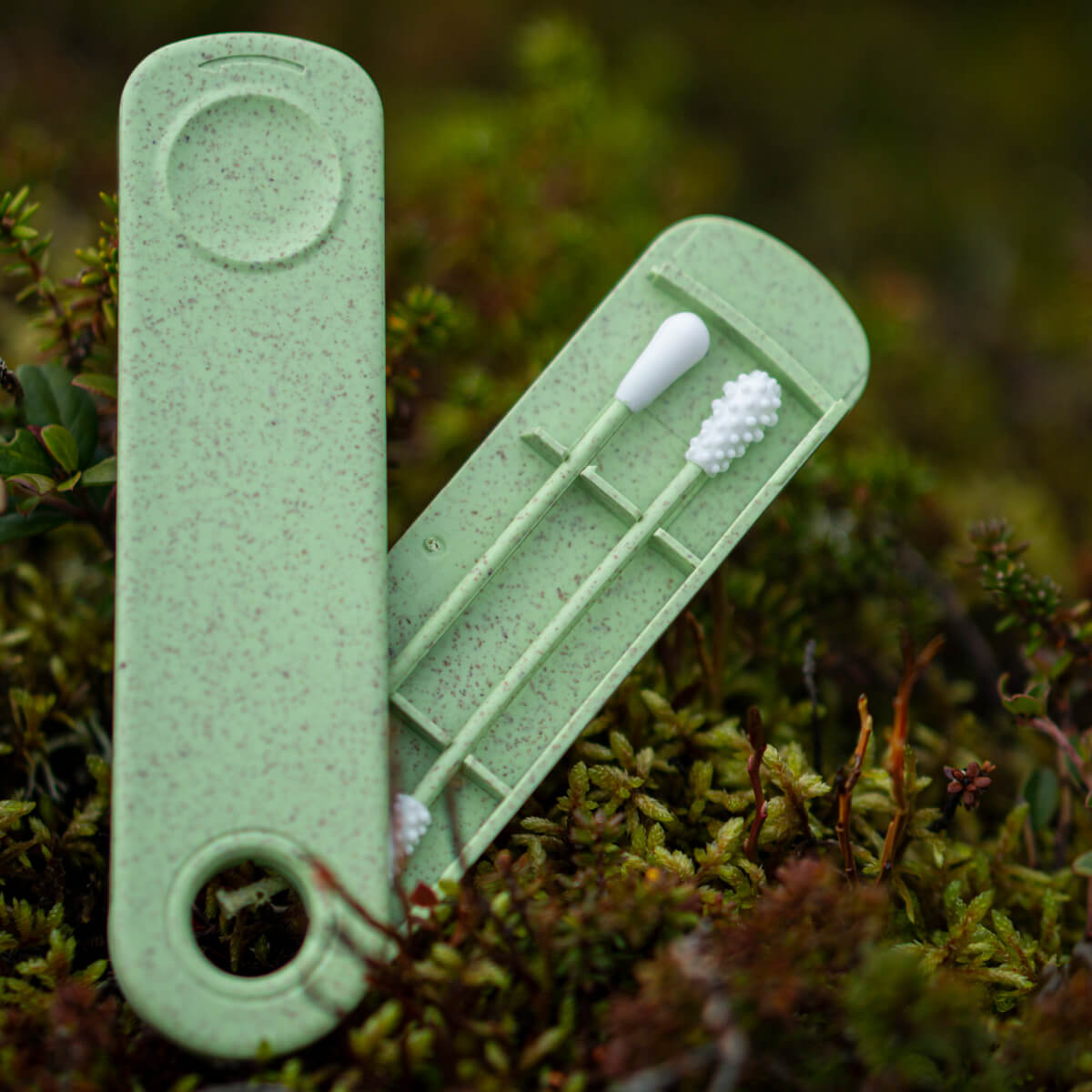 Zwei wiederverwendbare Wattestäbchen in grüner Aufbewahrungsbox aus Bioplastik, geöffnet und auf Moos platziert.