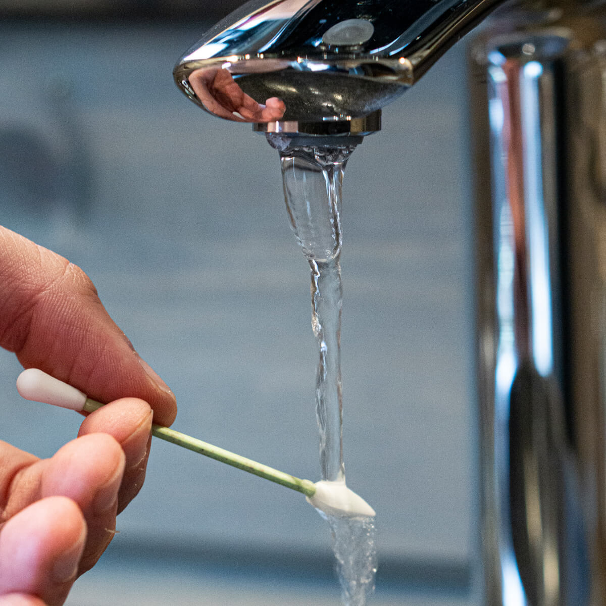 Wiederverwendbares Wattestäbchen wird unter fließendem Wasser an einem Waschbecken gereinigt.