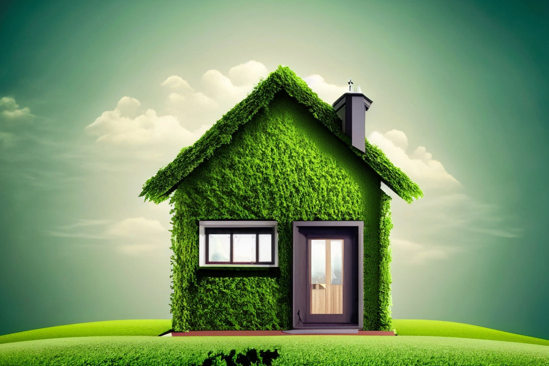 Wie kann ich mein Zuhause nachhaltiger gestalten?