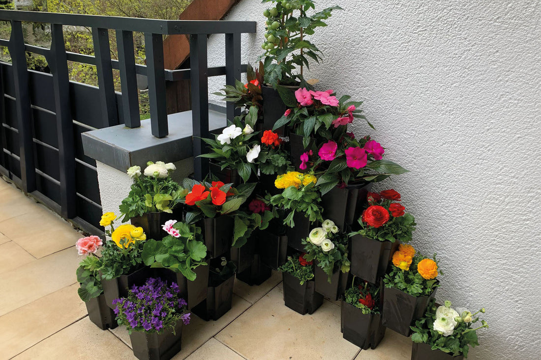 Modulares Pflanzsystem mit bunten Blumen auf einem Balkon, an einer weißen Wand arrangiert – vertikale Balkonbegrünung mit FlexiFlora.