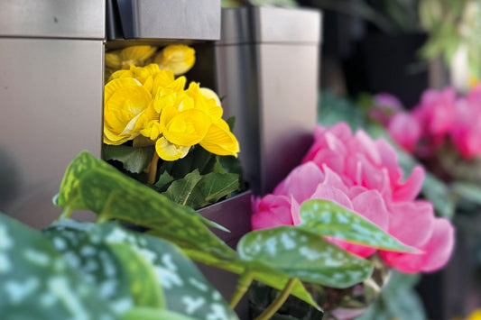 Nahaufnahme eines modularen Pflanzsystems mit gelben und pinken Blüten sowie grünen Blättern. Die Pflanztöpfe sind in einem vertikalen System angeordnet.
