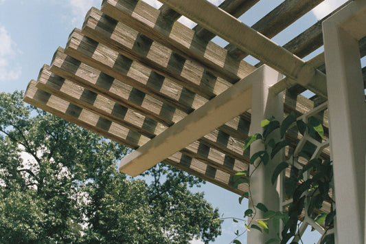 Pergola begrünen: Kletterpflanzen & Tipps für deine grüne Oase