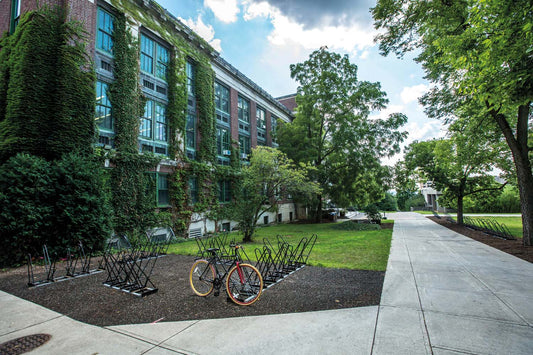 Begrünte Fassade mit Kletterpflanzen an einem Campusgebäude – eine grüne Inspiration für alle, die ihre Studentenwohnung gestalten und Natur in den Alltag bringen möchten.