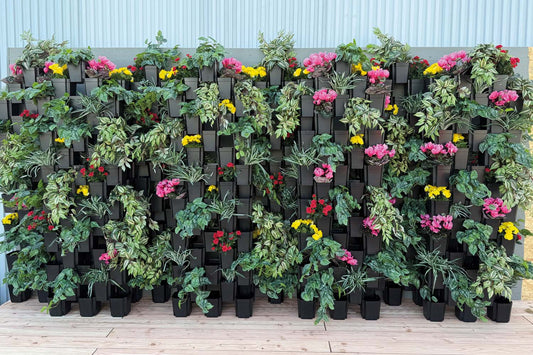 Große, bepflanzte grüne Wand aus schwarzen FlexiFlora-Modulen mit bunten Blüten in Gelb, Pink und Rot sowie verschiedenen grünen Blattpflanzen.