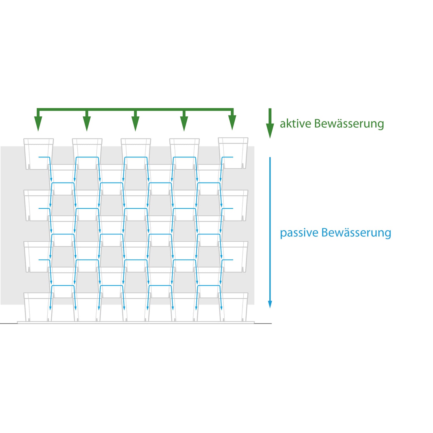 Grafik zur kaskadenförmigen Bewässerung im FlexiFlora Pflanzsystem mit aktiver und passiver Wasserverteilung.