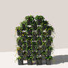 FlexiFlora - Modulares Pflanzsystem