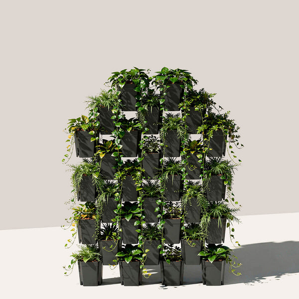 FlexiFlora modulares Pflanzsystem 30er Set für eine große begrünte Pflanzenwand im Garten oder auf der Terrasse.