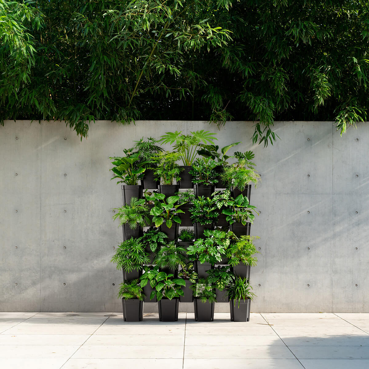 FlexiFlora modulares Pflanzsystem mit vielen Pflanzen als begrünte Wand für Garten, Terrasse und Urban Gardening.