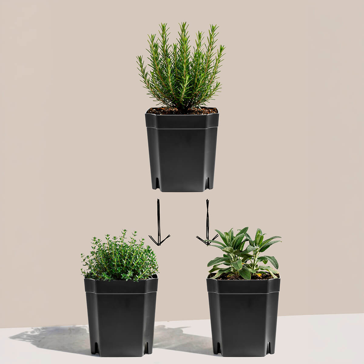 FlexiFlora modulares Pflanzsystem mit intuitivem Stecksystem zum einfachen Verbinden der Pflanzmodule für begrünte Wände.