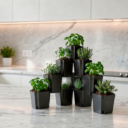 FlexiFlora modulares Pflanzsystem mit frischen Kräutern als platzsparender Kräutergarten in der Küche.