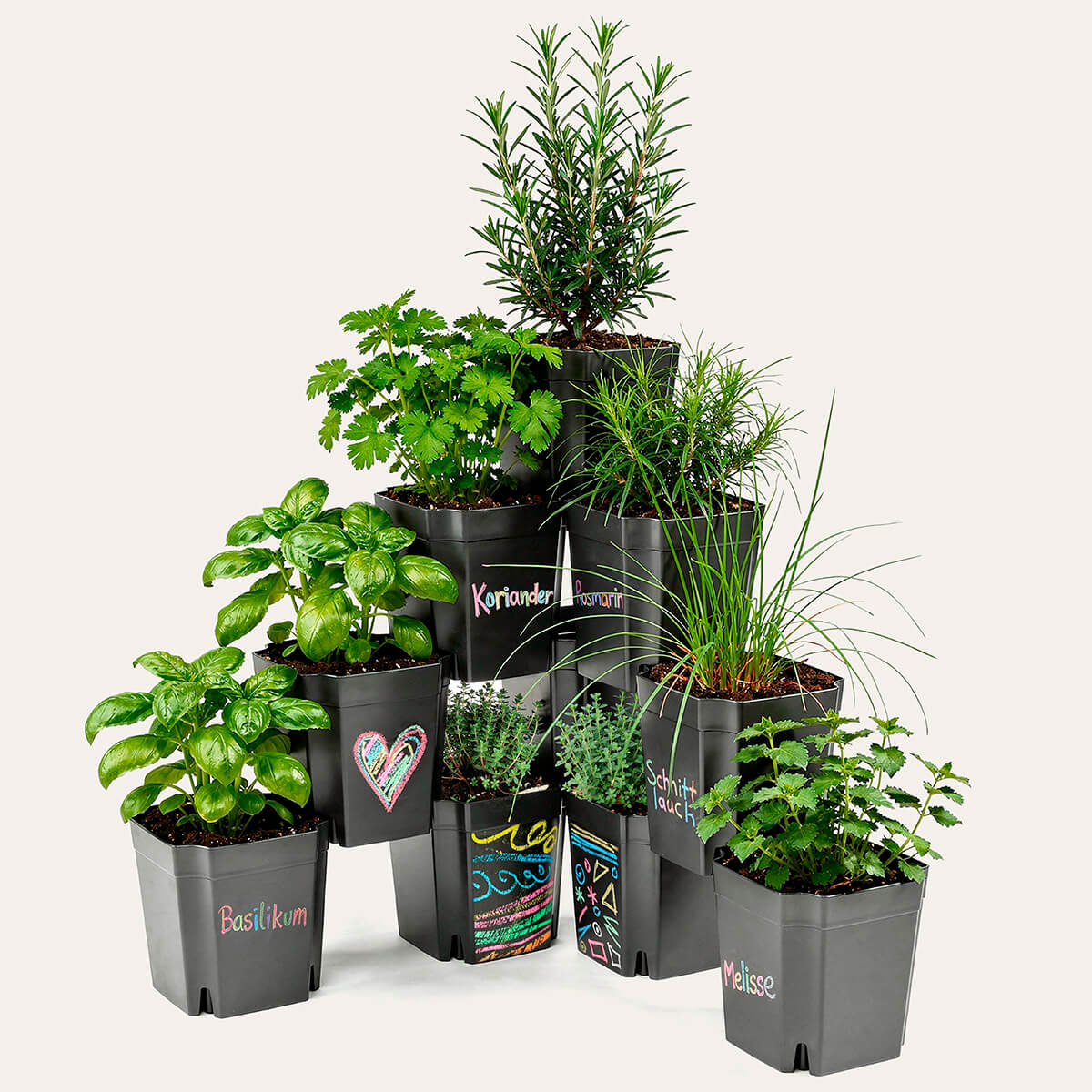 FlexiFlora modulares Pflanzsystem als platzsparender Kräutergarten mit Basilikum, Rosmarin und weiteren Küchenkräutern.